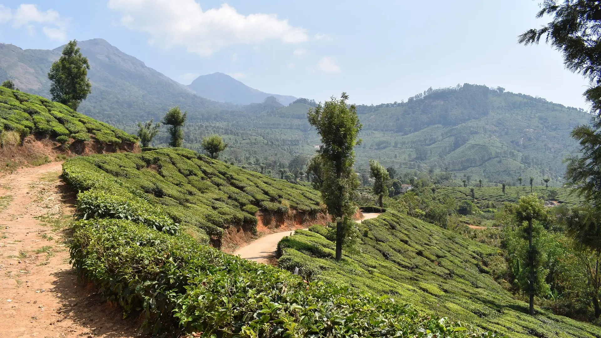 Kochi-Munnar-Alappuzha Tour Packages