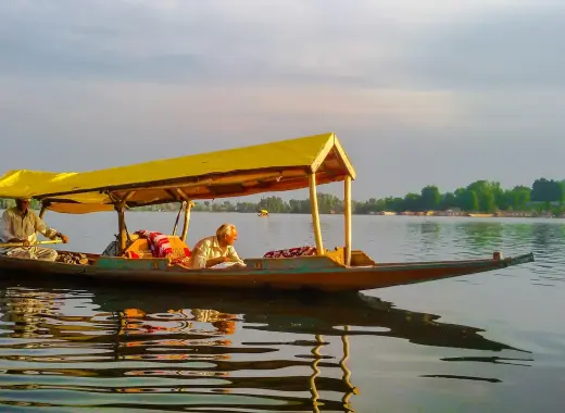 Kashmir