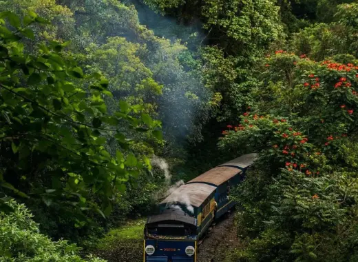 Ooty Tour Packages